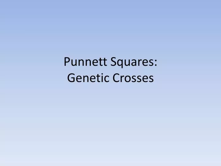 punnett squares genetic crosses