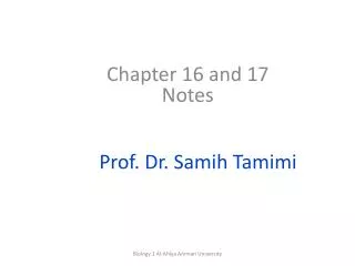 Prof. Dr. Samih Tamimi
