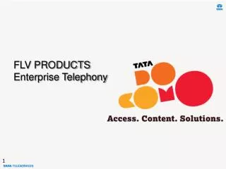 FLV PRODUCTS Enterprise Telephony