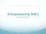 Entrepreneurship SAE’s