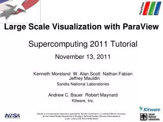 Large Scale Visualization with ParaView