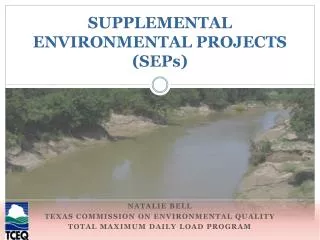SUPPLEMENTAL ENVIRONMENTAL PROJECTS (SEPs)