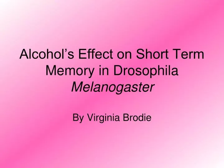 alcohol s effect on short term memory in drosophila melanogaster