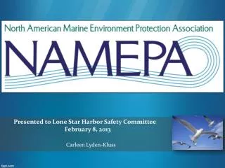 P resented to Lone Star Harbor Safety Committee February 8, 2013
