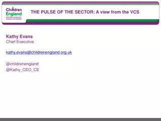 THE PULSE OF THE SECTOR: A view from the VCS