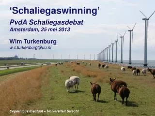 ‘ Schaliegaswinning ’ PvdA Schaliegasdebat Amsterdam, 25 mei 2013 Wim Turkenburg w.c.turkenburg@uu.nl