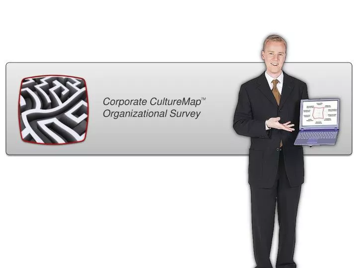 corporate culturemap tm organizational survey