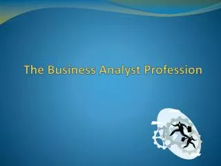 The Business Analyst Profession
