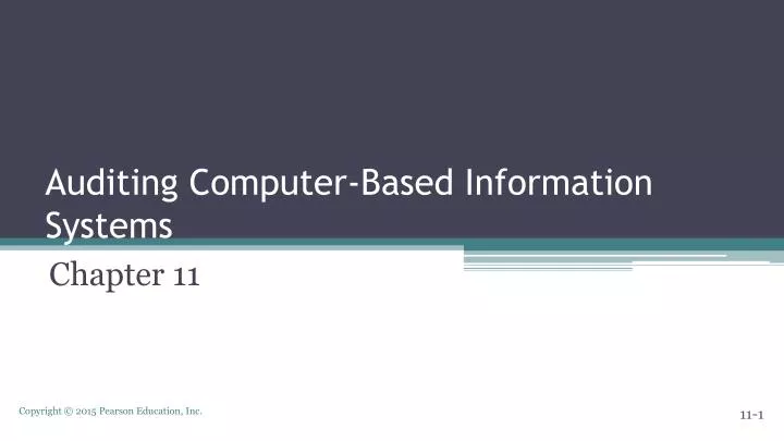 auditing computer based information systems