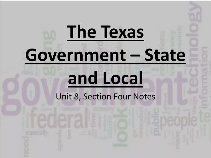 the texas government state and local