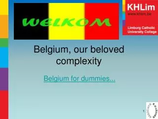 Belgium, our beloved complexity