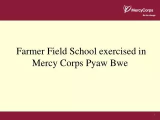 Farmer Field School exercised in Mercy Corps Pyaw Bwe