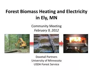 Forest Biomass Heating and Electricity in Ely, MN Community Meeting February 9, 2012 Dovetail Partners University of Min