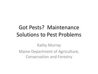 Got Pests? Maintenance Solutions to Pest Problems