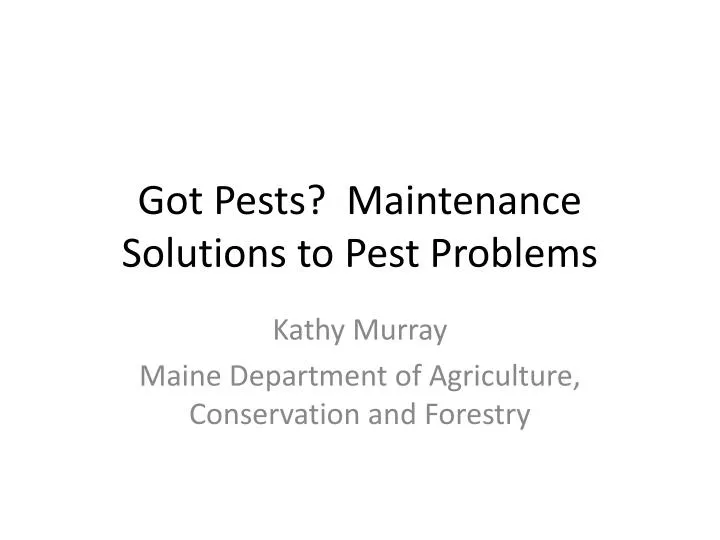 got pests maintenance solutions to pest problems