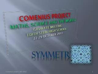 COMENIUS PROJECT MATHS, SCIENCE AND THE WORLD GAVIRATE MEETING EDITH STEIN HIGH SCHOOL 22-29 OCTOBer 2011