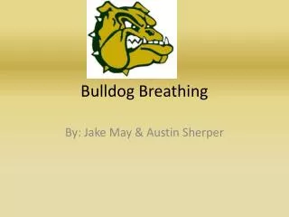 Bulldog Breathing