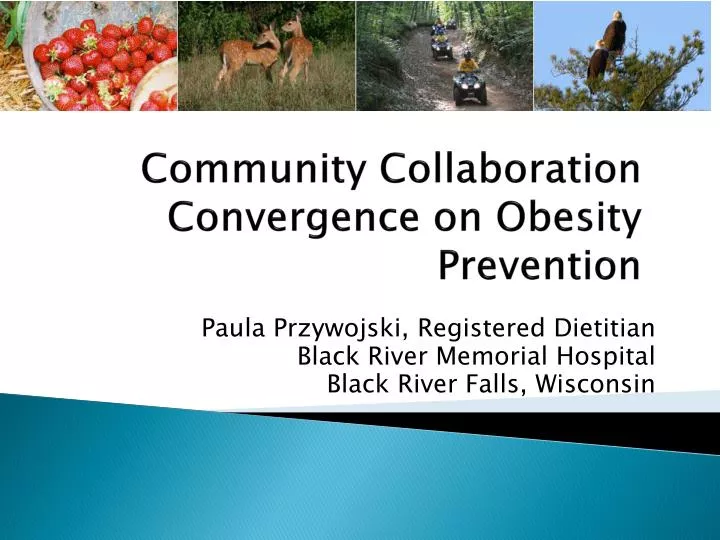 community collaboration convergence on obesity prevention