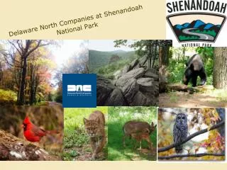 Delaware North Companies at Shenandoah National Park