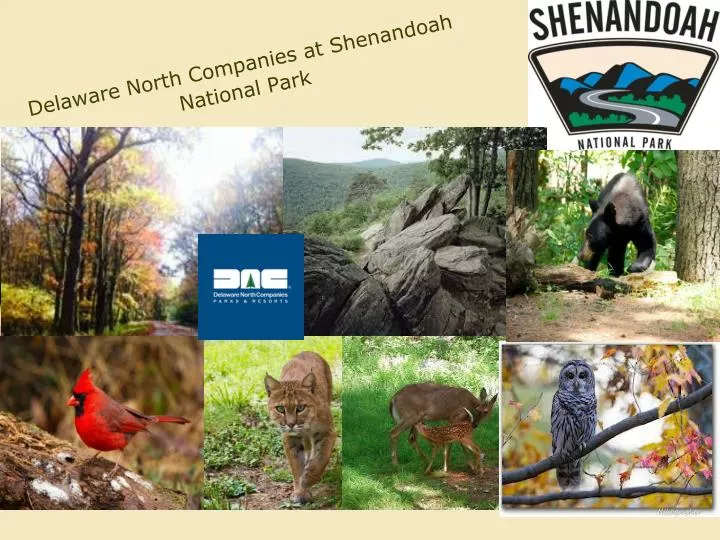 delaware north companies at shenandoah national park