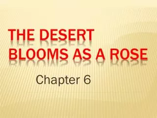 The Desert Blooms as a Rose