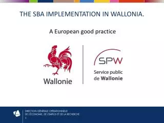 The SBA implementation in wallonia .