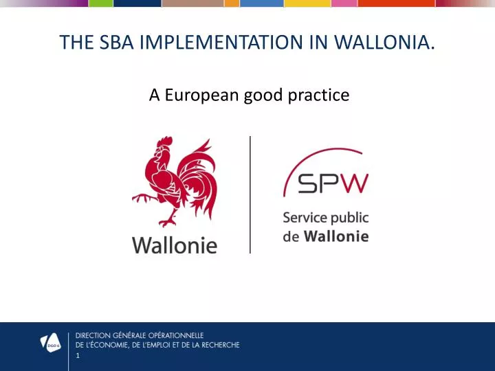 the sba implementation in wallonia