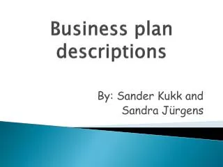 Business plan descriptions