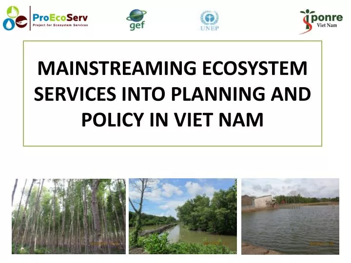 mainstreaming ecosystem services into planning and policy in viet nam