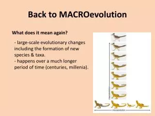 Back to MACROevolution