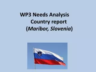 WP3 Needs Analysis	 Country report ( Maribor, Slovenia )
