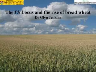 The Ph Locus and the rise of bread wheat Dr Glyn Jenkins