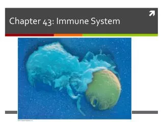 Chapter 43: Immune System