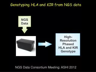 Genotyping HLA and KIR from NGS data