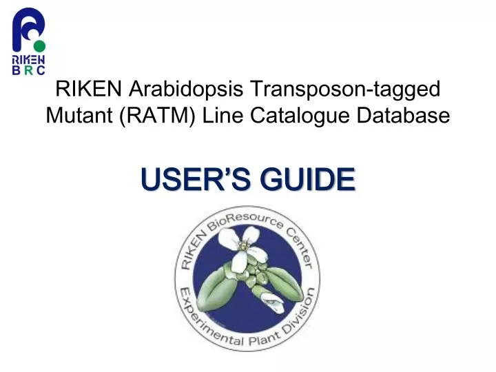 user s guide