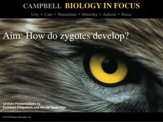 Aim: How do zygotes develop?