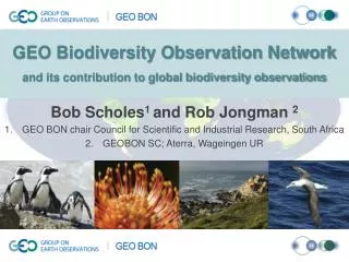 GEO Biodiversity Observation Network and its contribution to global biodiversity observations