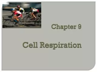 Chapter 9 Cell Respiration