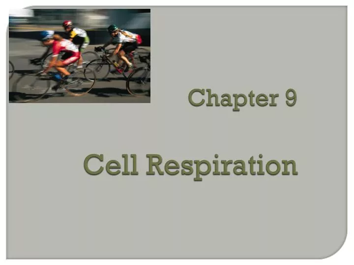 chapter 9 cell respiration