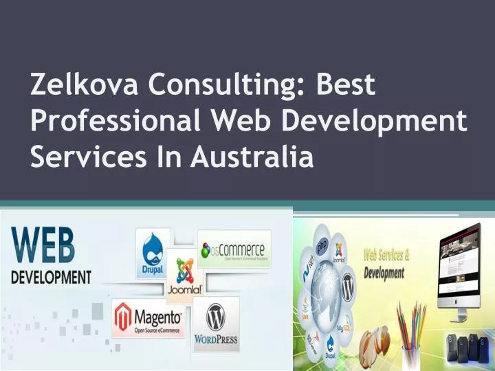 zelkova consulting best professional web development services in australia