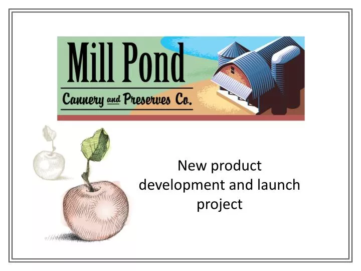 new product development and launch project