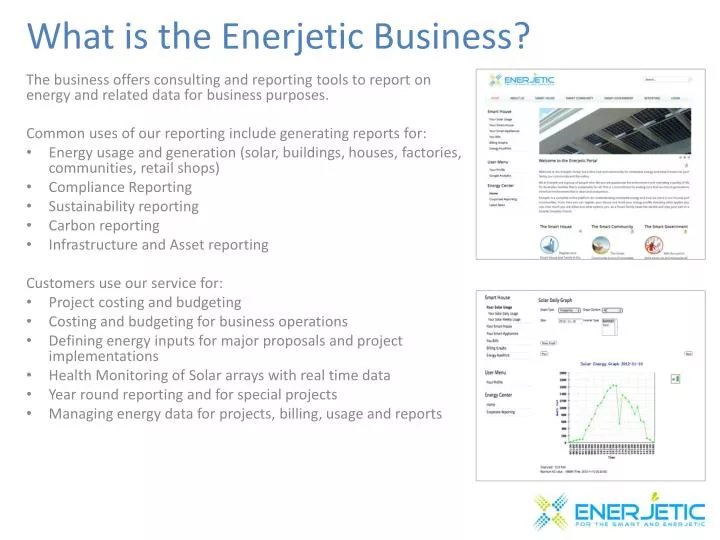 what is the enerjetic business