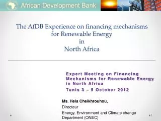 The AfDB Experience on financing mechanisms for Renewable Energy in North Africa