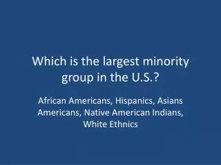 Which is the largest minority group in the U.S.?