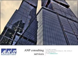 ANP consulting services