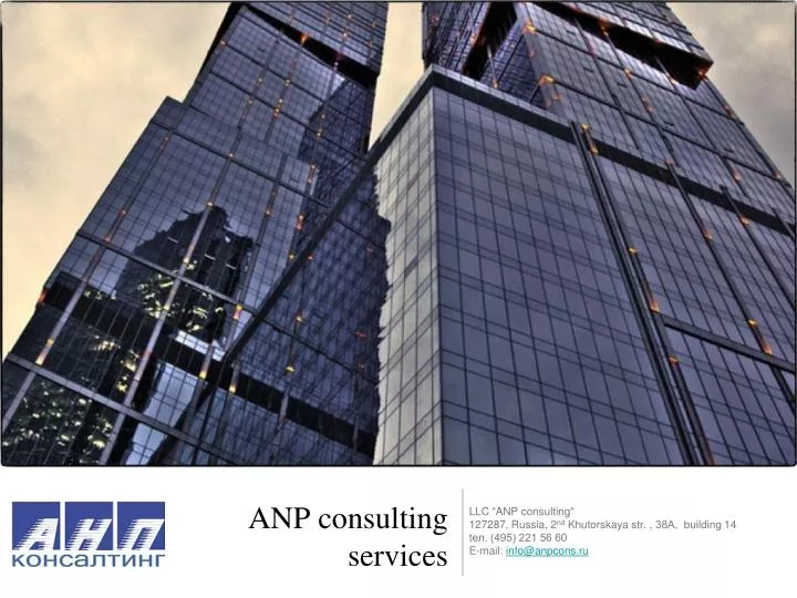 anp consulting services