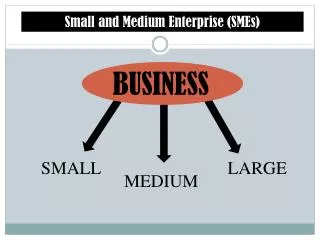 Small and Medium Enterprise (SMEs)