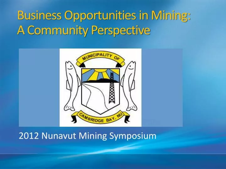business opportunities in mining a community perspective