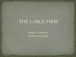 THE LARGE FIRM