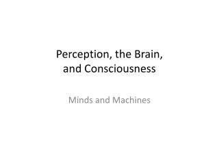 Perception, the Brain, and Consciousness